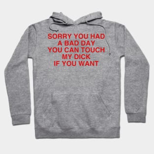 Forgive me fo a bad day Hoodie